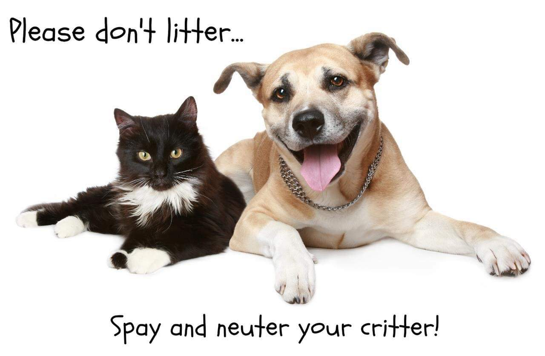 spay and neuter all pets
